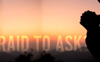 Afraid to Ask?