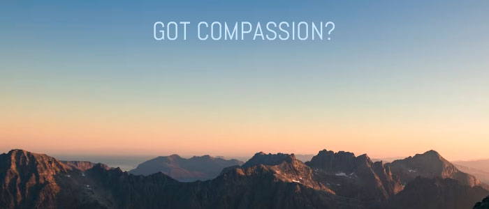 GOT COMPASSION?