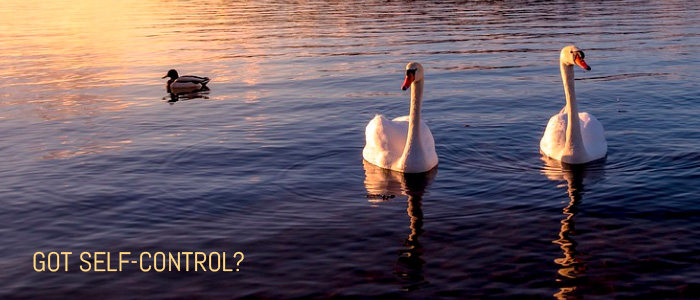 Email-Header-GOT-SELF-CONTROL