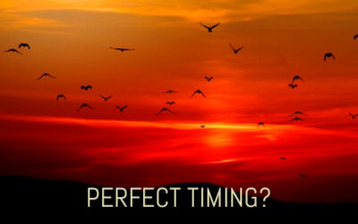 PERFECT TIMING?