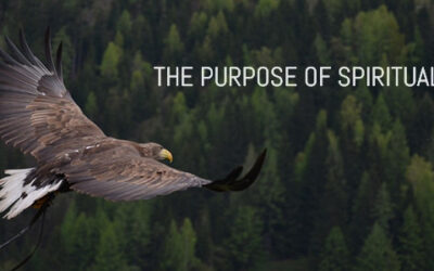 THE PURPOSE OF SPIRITUAL INPUT!