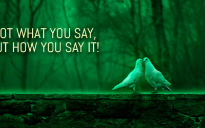 IT’S NOT WHAT YOU SAY, BUT HOW YOU SAY IT!