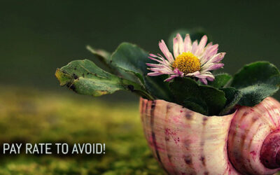 A KILLER PAY RATE TO AVOID!