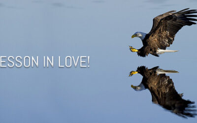 A LESSON IN LOVE!