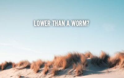 LOWER THAN A WORM?