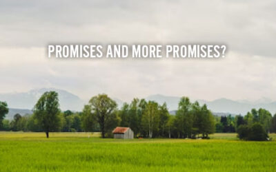 PROMISES AND MORE PROMISES?