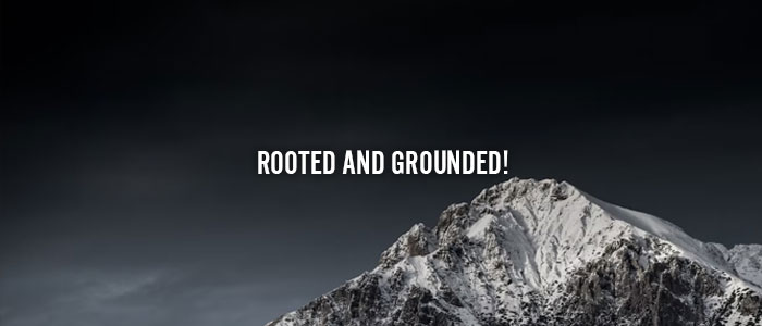 ROOTED AND GROUNDED!