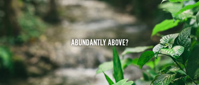 ABUNDANTLY ABOVE?