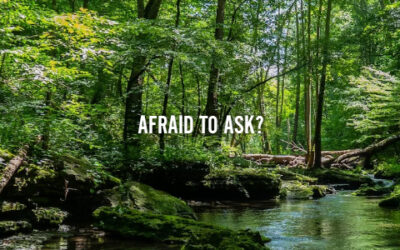 AFRAID TO ASK?