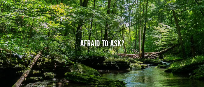 AFRAID TO ASK?