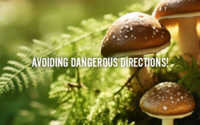 AVOIDING DANGEROUS DIRECTIONS!