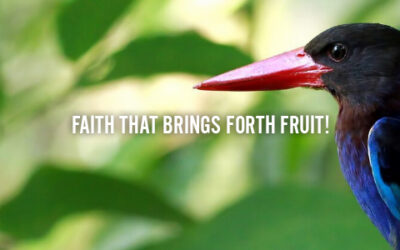 FAITH THAT BRINGS FORTH FRUIT!