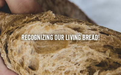 RECOGNIZING OUR LIVING BREAD!