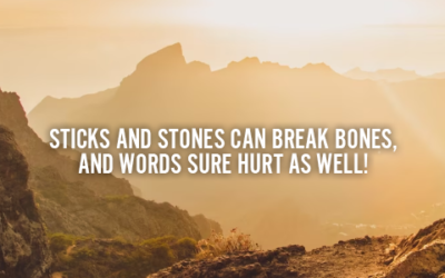STICKS AND STONES CAN BREAK BONES, AND WORDS SURE HURT AS WELL!
