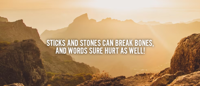 STICKS AND STONES CAN BREAK BONES, AND WORDS SURE HURT AS WELL!